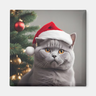 Imán Navidades de Shorthair del Reino Unido