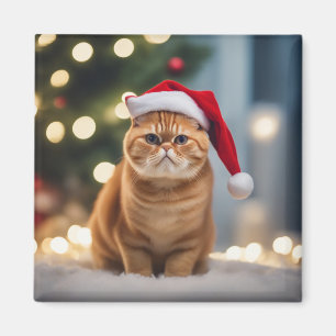 Imán Navidades de Shorthair exóticos