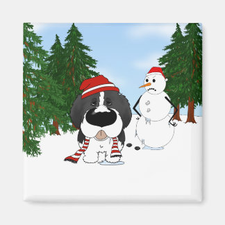 Imán Navidades de Terranova
