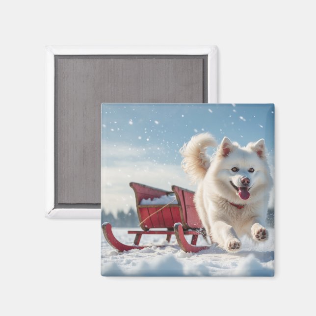 Imán Navidades de vacaciones festivas de Samoyed (Anverso/Reverso)