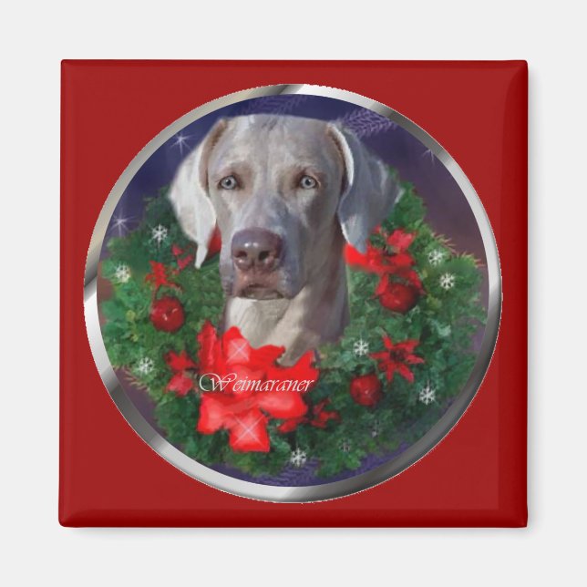 Imán Navidades de Weimaraner (Frente)