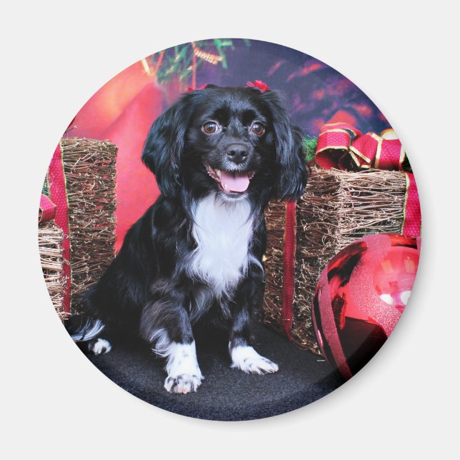 Imán Navidades - Docker - Gigi (Frente)