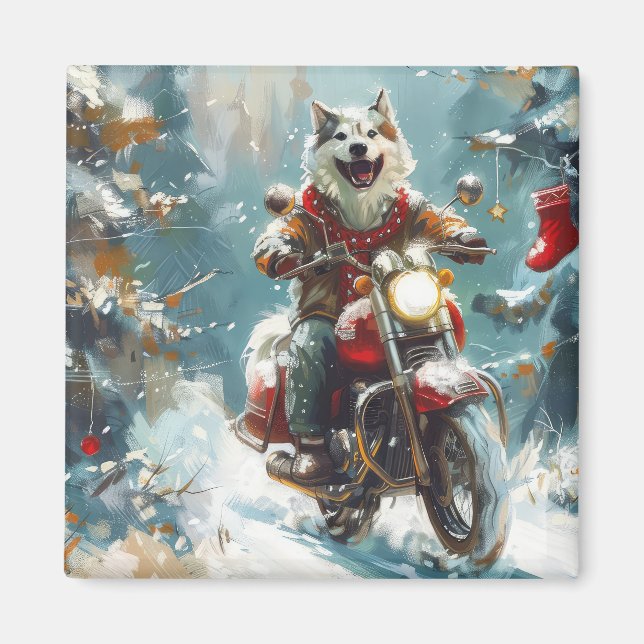 Imán Navidades en motocicleta de Alaska Malamute (Frente)