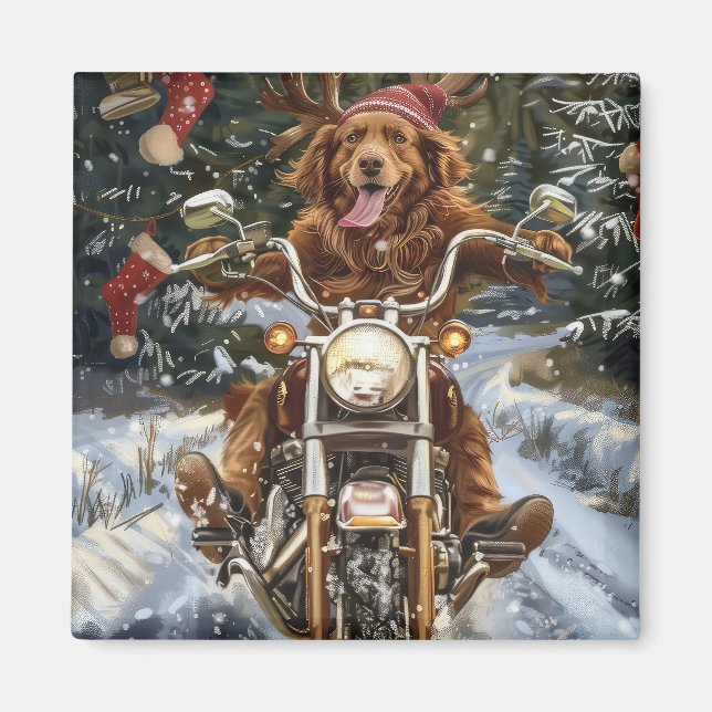 Imán Navidades en motocicleta de perros de Nueva Escoci (Frente)