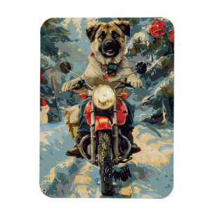 Imán Navidades en motocicleta del Pastor Anatoliano