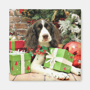 Imán Navidades - English Springer Spaniel - Kinzie