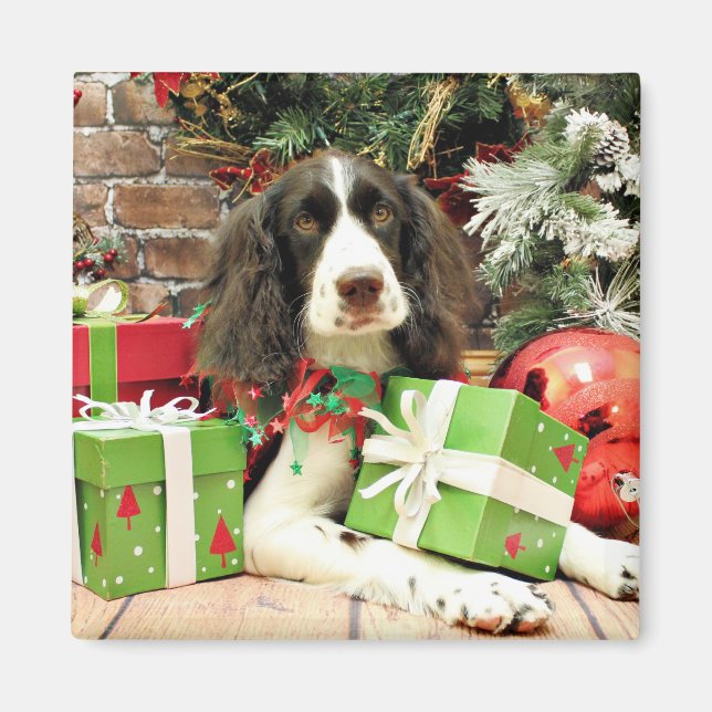 Imán Navidades - English Springer Spaniel - Kinzie (Frente)