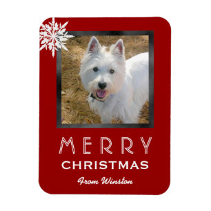 Imán Navidades Foto 3x4 Saludo del perro/Mascota