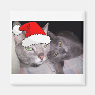 Imán Navidades Gatos Gris Azules Rusos