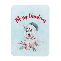 Navidades Husky Dog en Santa Hat