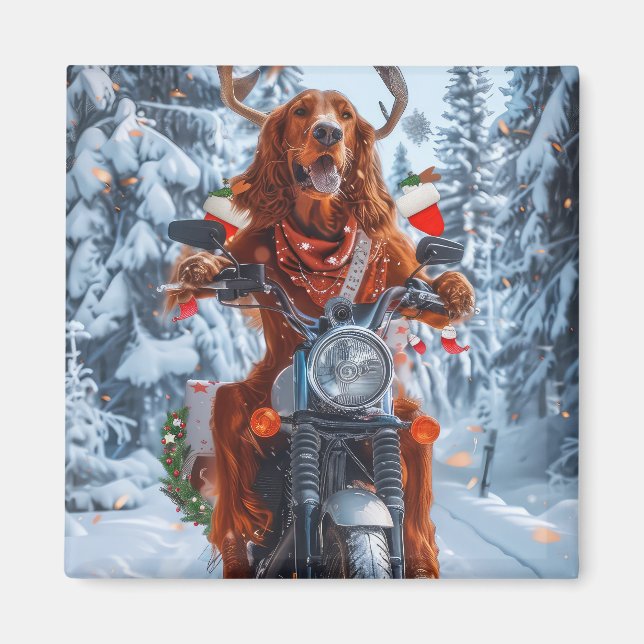 Imán Navidades irlandeses de motocicletas Red Setter Do (Frente)