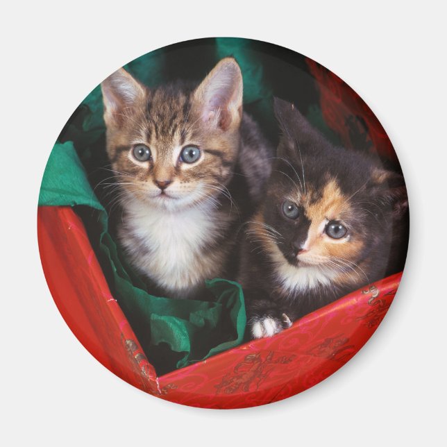 Imán Navidades Kittens (Frente)
