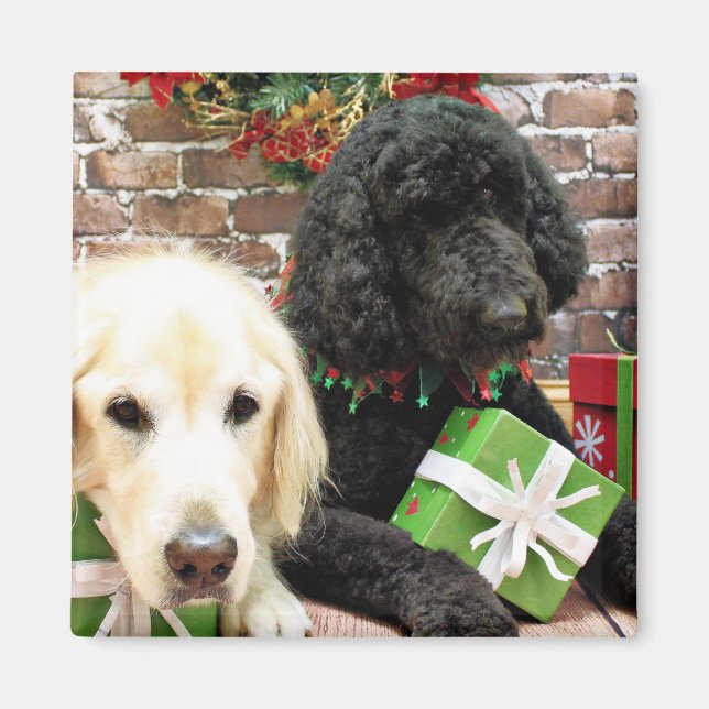 Imán Navidades - Labradoodle Miller - Golden Retriever (Frente)