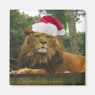Imán Navidades León usando Santa Hat