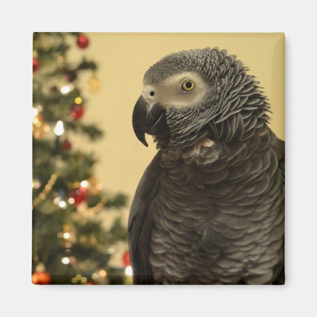 Imán Navidades Parrot Magnet (Frente)