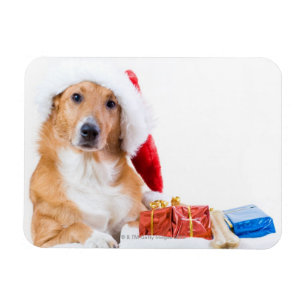 Imán Navidades perro con corpiño y regalos coloridos