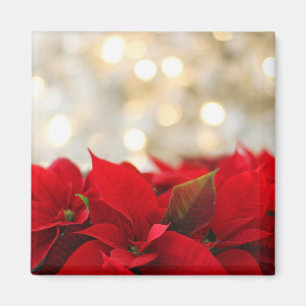 Imán Navidades Poinsettia