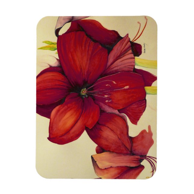 Imán Navidades rojos Amaryllis Photo Magnet (Vertical)