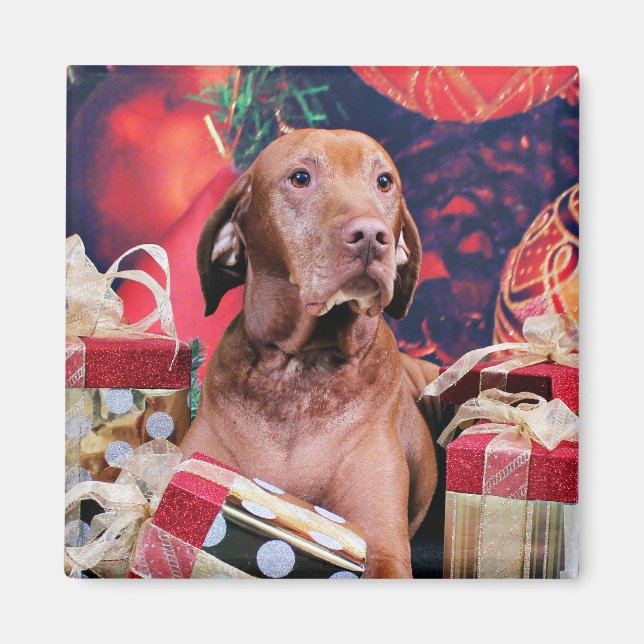 Imán Navidades - Vizsla - Budda (Frente)