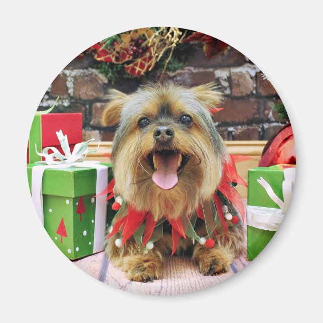 Imán Navidades - Yorkie - Eli (Frente)