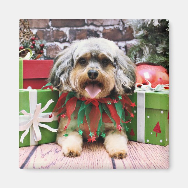 Imán Navidades - YorkiPoo - Oliver (Frente)