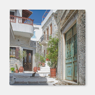 Imán Naxos Village Cat Magnet