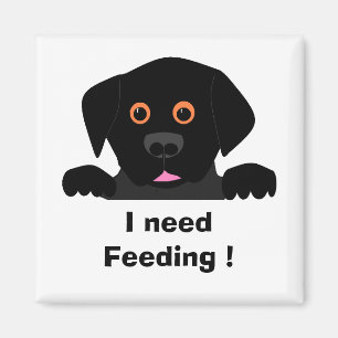 Imán ¡Necesito alimentación!