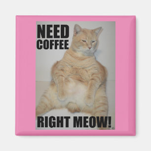 Imán ¡NECESITO CAFÉ AHORA MISMO! Gato Manx Sentado Dive
