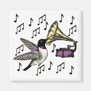 Imán Néctar auditivo