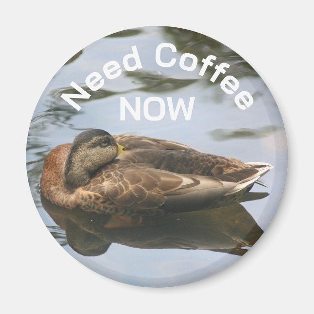 Imán Need Coffee Sleepy Duck Funny  (Frente)
