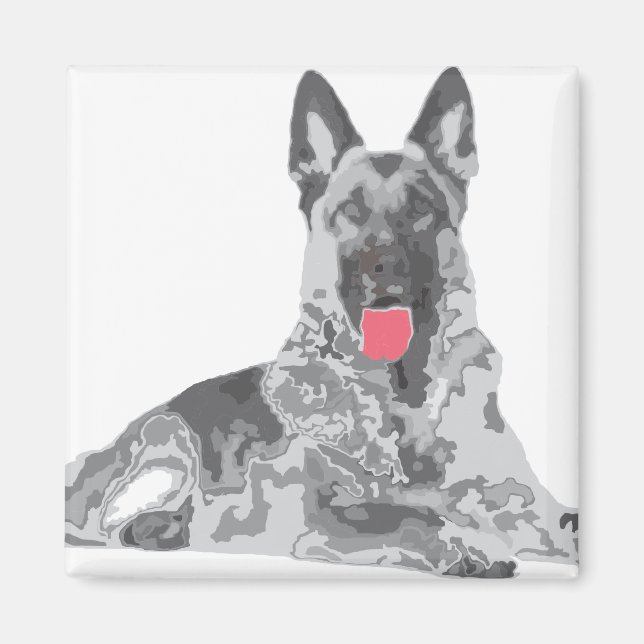 Imán Negro alemán (Frente)