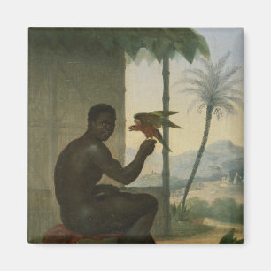 Imán Negro brasileño con el pájaro tropical