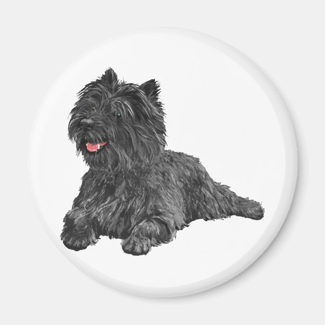 Imán Negro Cairn Terrier (Frente)