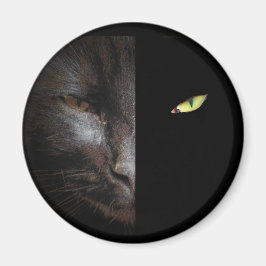 Imán Negro Cat Dark y el lado oscuro