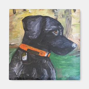 Imán negro dulce del laboratorio por