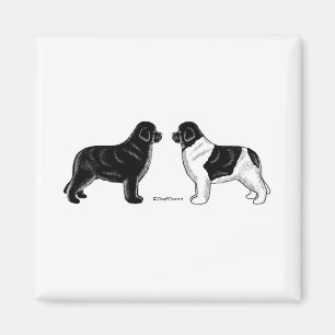Imán Negro y perros de Landseer Terranova