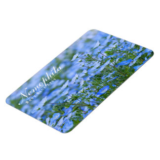 Imán NEMOPHILA (Ojos Azules Infantiles) マ ネ ト