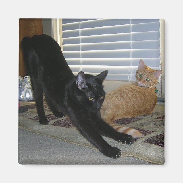 Imán Neo e Isabelle Magnet (Frente)