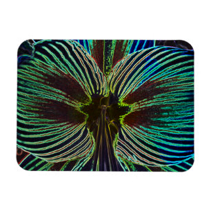 Imán Neon Amaryllis