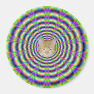 Imán Neon Pulse Magnet + gato