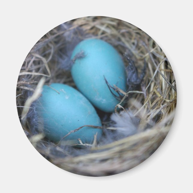 Imán Nest Magnet (Frente)