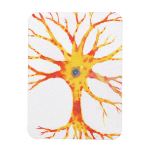 Imán Neuron
