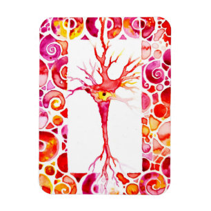 Imán Neuron