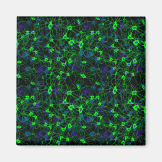 Imán Neuron City Magnet