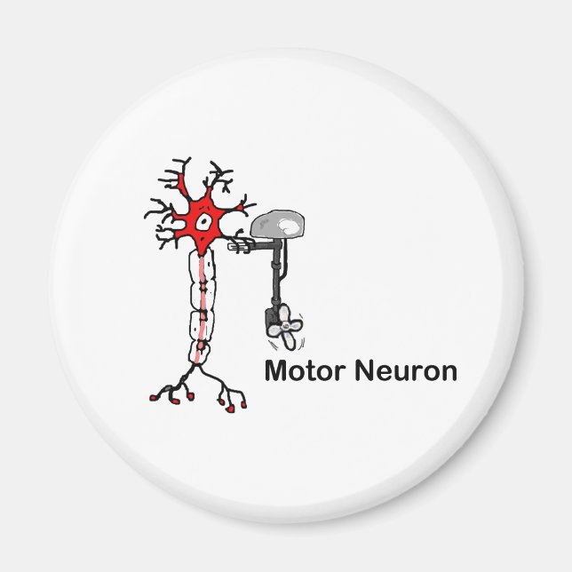 Imán Neurona motora (Frente)