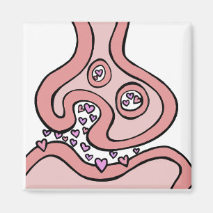 Imán Neurotransmisores cardíacos Magnet