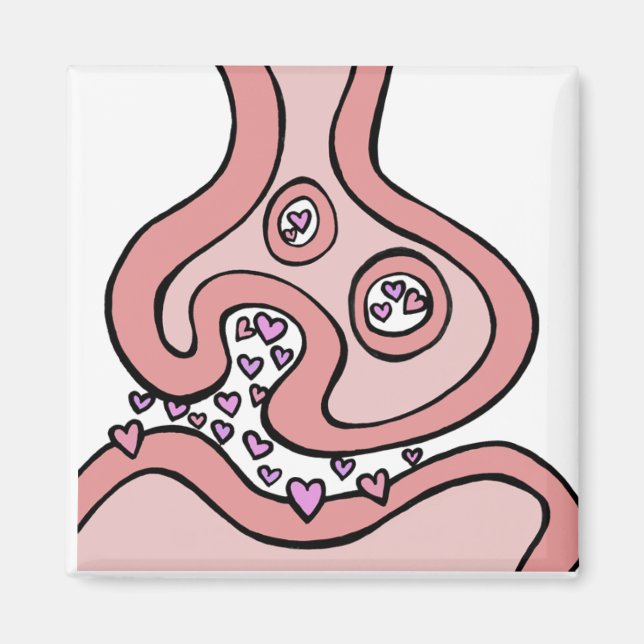 Imán Neurotransmisores cardíacos Magnet (Frente)