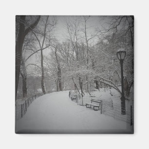 Imán Nevada, Central Park, New York City