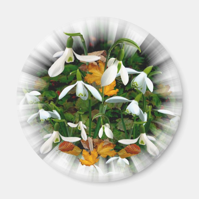 Imán Nevada en la Primavera Blanca de bonito (Frente)