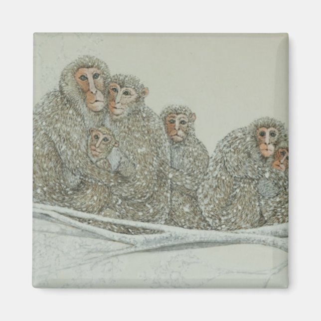 Imán Nevado bajo (Frente)